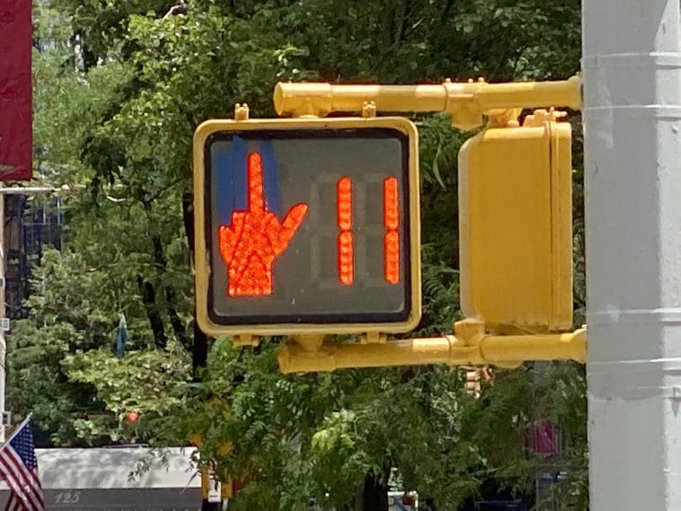 Vulgar Crossing Sign