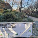 MulchFest Christmas tree drop off location in Carl Schurz Park/Sonia @scoopthestoop for Upper East Site
