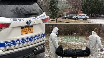 Decomposing body found Central Park in wooded area behind the Met/Upper East Site