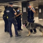 NYPD to Surge Cops into NYC Subways/Upper East Site