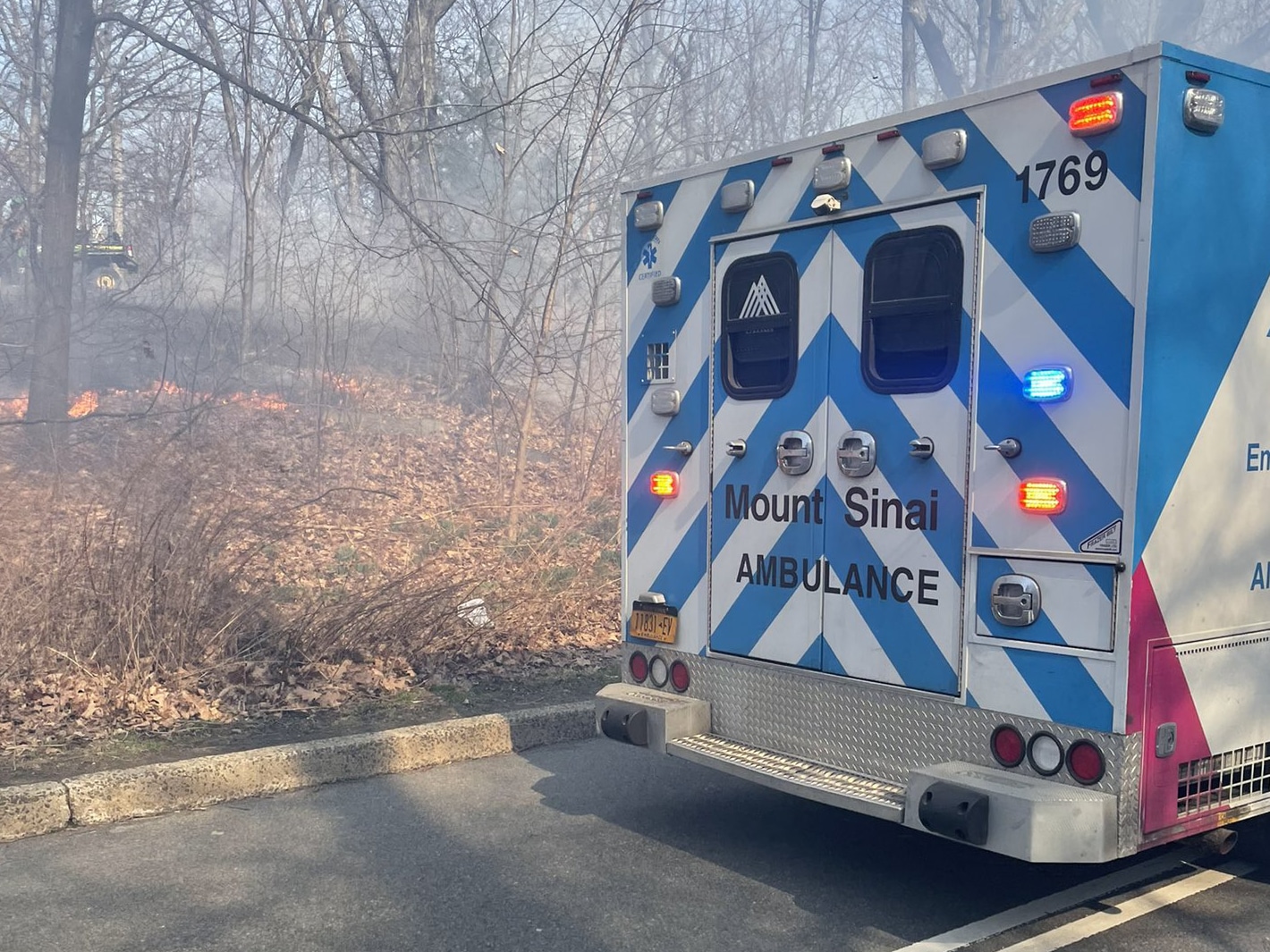 Central Park fires believed to be intentionally set