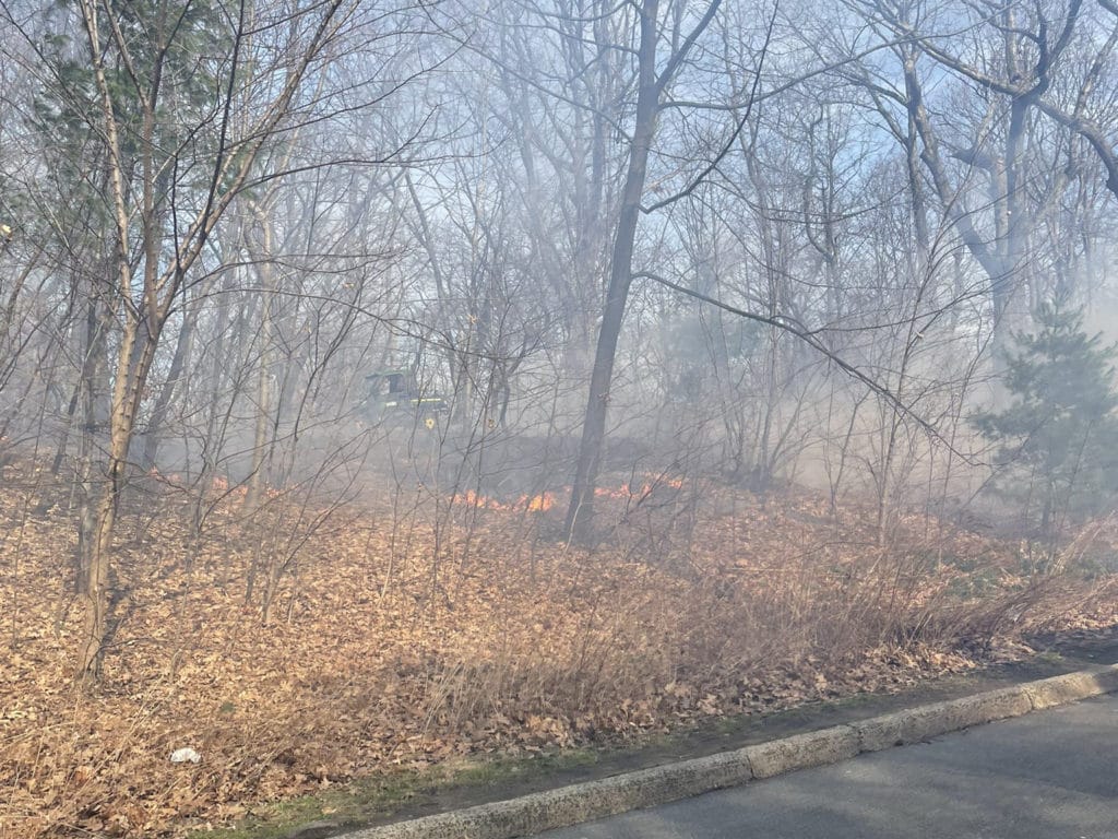 Central Park fires believed to be intentionally set