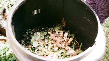 As NYC cuts curbside composting, UES gains new food scrap drop-off