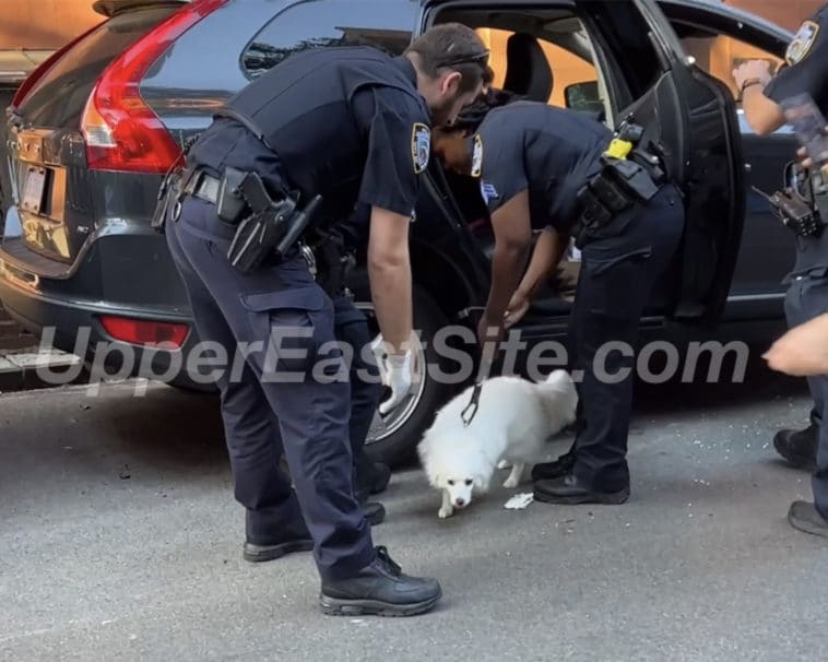 NYPD officers come to the rescue of dog locked in hot SUV | Upper East Site