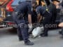 NYPD officers come to the rescue of dog locked in hot SUV | Upper East Site