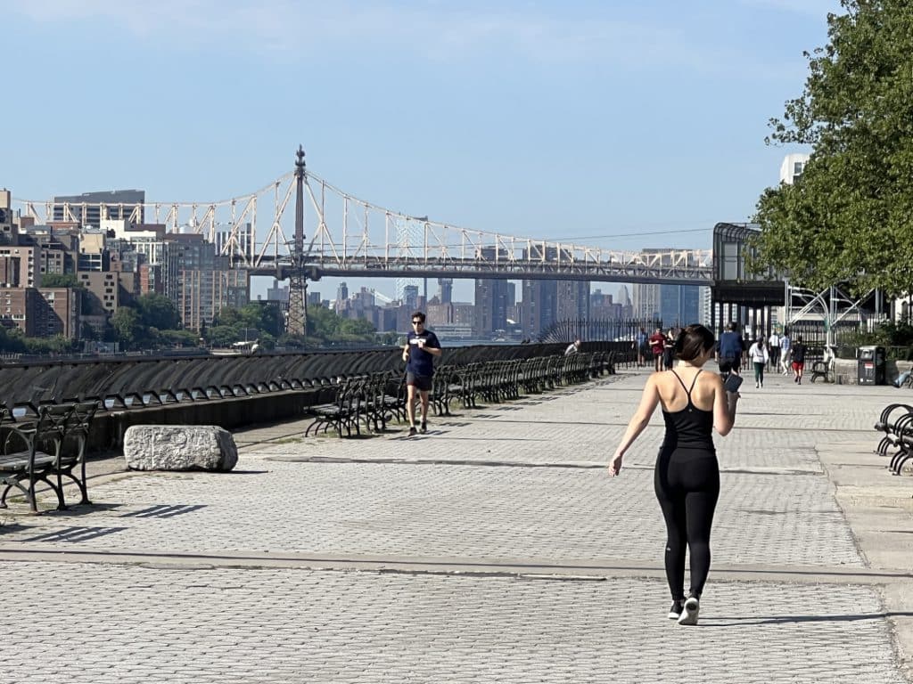 Council Member Menin is working to bring cameras to the East River Esplanade | Upper East Site
