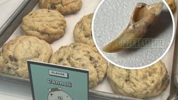 UES Couple says they found an animal tooth found in a cannoli cookie from Chip City | Upper East Site