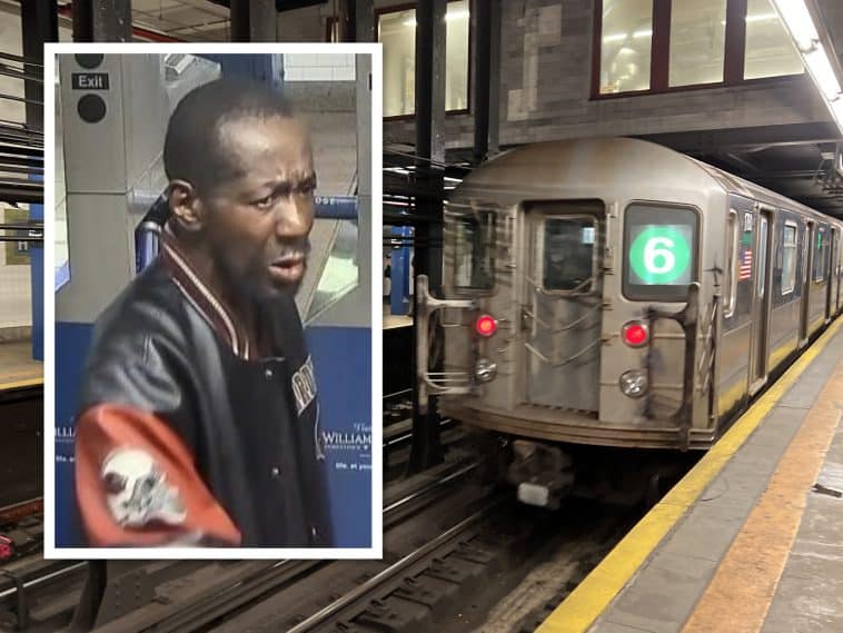 Elderly woman randomly assaulted in UES subway station | Upper East Site, NYPD