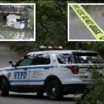 Decomposing body discovered floating in The Lake at Central Park