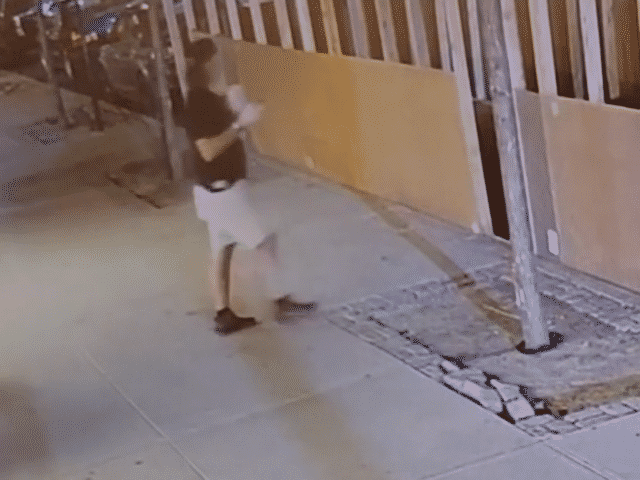 Surveillance video caught the suspect not only smashing the sukka, but urinating in it as well, police say | Chabad Israel Center