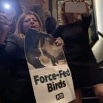 Animal rights activists crash foie gras party at David Burke Tavern
