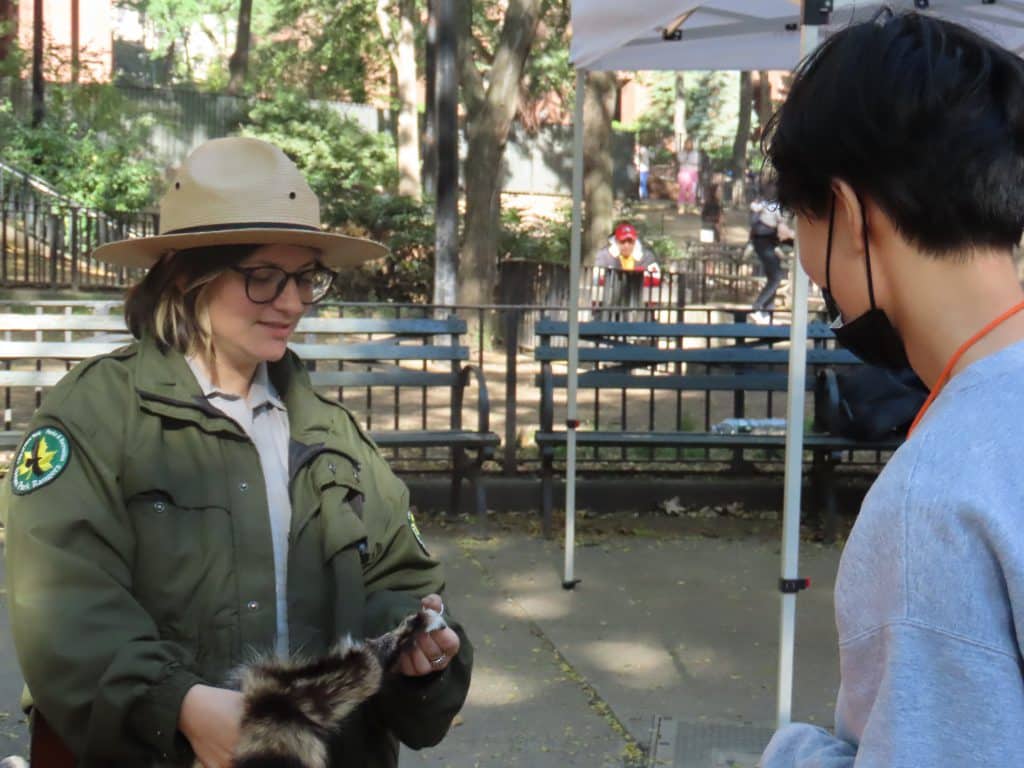 NYC Parks Rangers showed off pelts and how to wrangle a raccoon