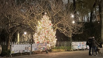 Christmas trees will be lit in Carl Schurz Park and along Park Avenue this weekend | Upper East Site