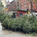 Christmas Tree vendors have set up shop throughout the Upper East Side | Upper East Site