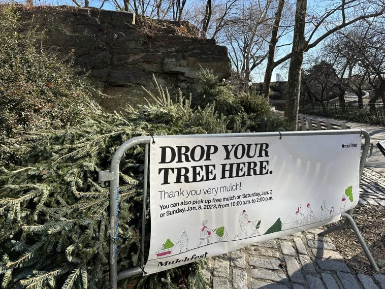 Mulchfest Christmas tree drop off location in Carl Schurz Park | Upper East Site