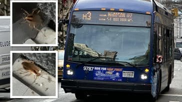 A passenger says he's spotted roach infestations on several MTA buses along two UES routes | Upper East Site