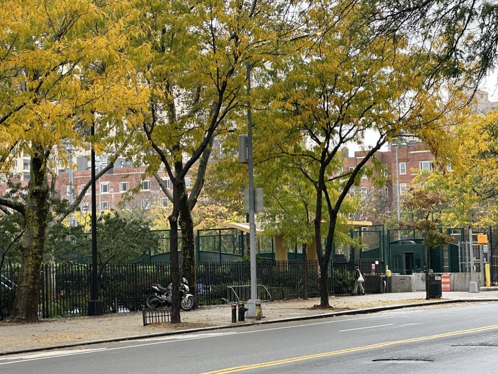 One Upper East Side project includes 30 new trees and tree guards | Upper East Site