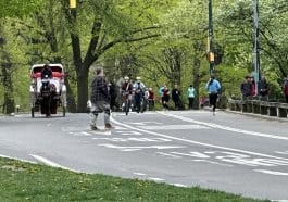 Central Park's most dangerous intersection is near an Upper East Side entrance | Upper East Site