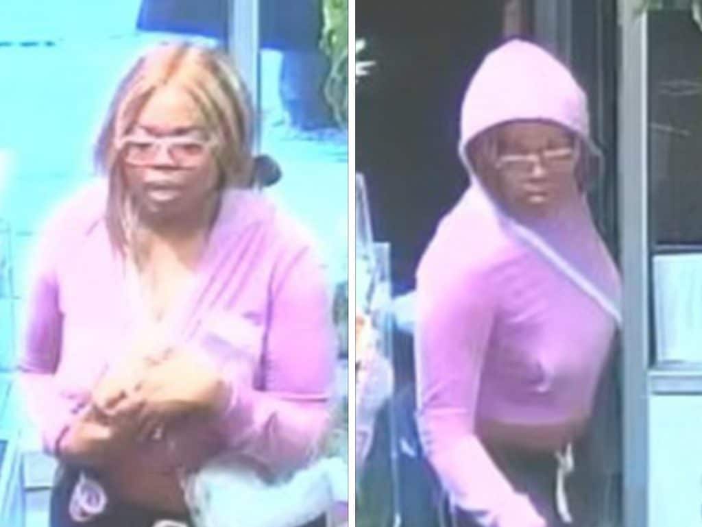 Police say Chala Jamison is the Juice Island stabbing suspect seen in surveillance video | NYPD