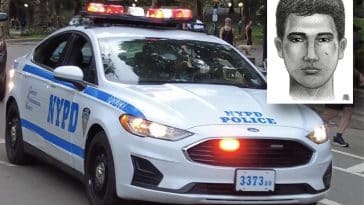 Creep on Citi Bike smashes woman's head into tree in Central Park, police say | Upper East Site, NYPD