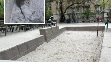 A rat was spotted inside the sandbox at John Jay Park on the Upper East Side | Upper East Site, Gina Scott via Facebook