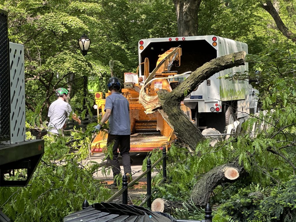 Crews fed pieces of the massive tree branch into a large wood chipper | Upper East Site