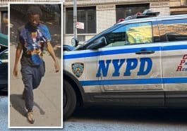 Police say a man sexually assaulted a woman in broad daylight on a quiet UES block | Upper East Site, NYPD