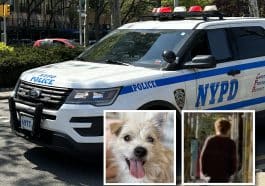 Suspect busted after kicking UES woman's dog in random attack, police say | Melanie Greenblatt
