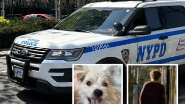 Suspect busted after kicking UES woman's dog in random attack, police say | Melanie Greenblatt