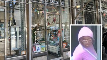 A grand jury indicted 23-year-old Cha'la Jamison, charging her with with a horrific stabbing inside an Upper East Side juice shop | Upper East Site, NYPD