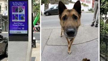 Beefed-up campaign to combat dog poop calls for pledge to 'Scoop the Poop'