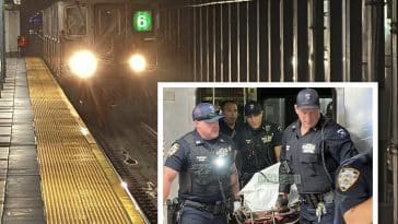 Man struck & killed by Upper East Side subway train during morning rush | Upper East Site