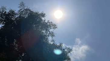 Dangerously high temperatures that feel like triple digits will have the Upper East Side sizzling for the next few days | Upper East Site