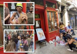 Furious Upper East Siders demand justice for poodle mauled by bookstore owner's German shepherd | Nora Wesson/Upper East Site
