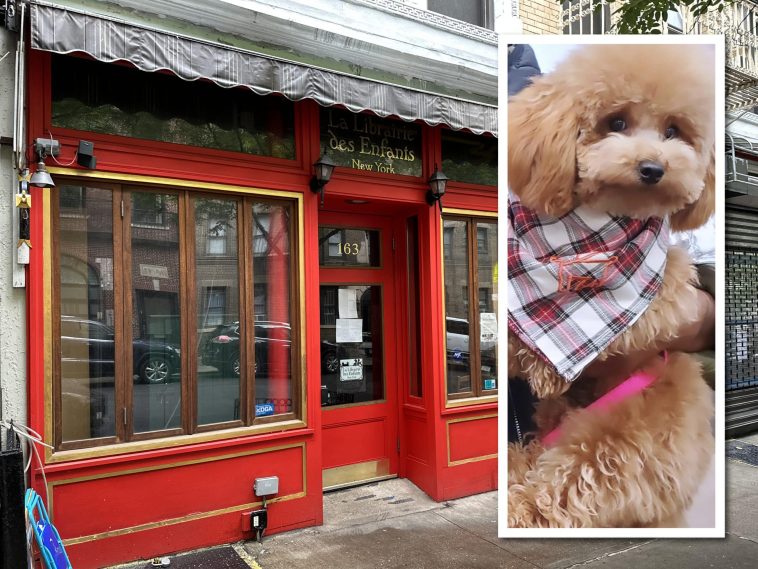 Poodle mauled, woman attacked outside Upper East Side kids’ bookstore by owners vicious dogs, victim claims | Upper East Site, Akiba Tripp