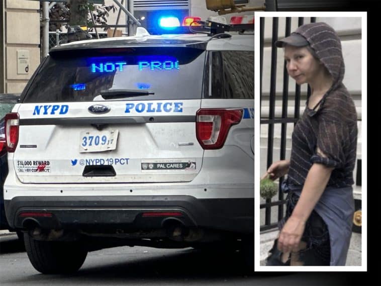 Police are searching for the suspect who assaulted an elderly woman in a broad daylight attack on an Upper East Side sidewalk | Upper East Site, NYPD