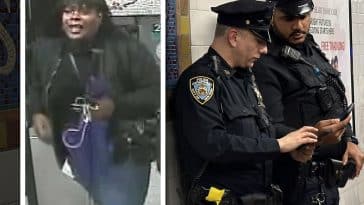 Police say a woman punched and pepper sprayed strangers on an Upper East Side subway train | Upper East Site, NYPD