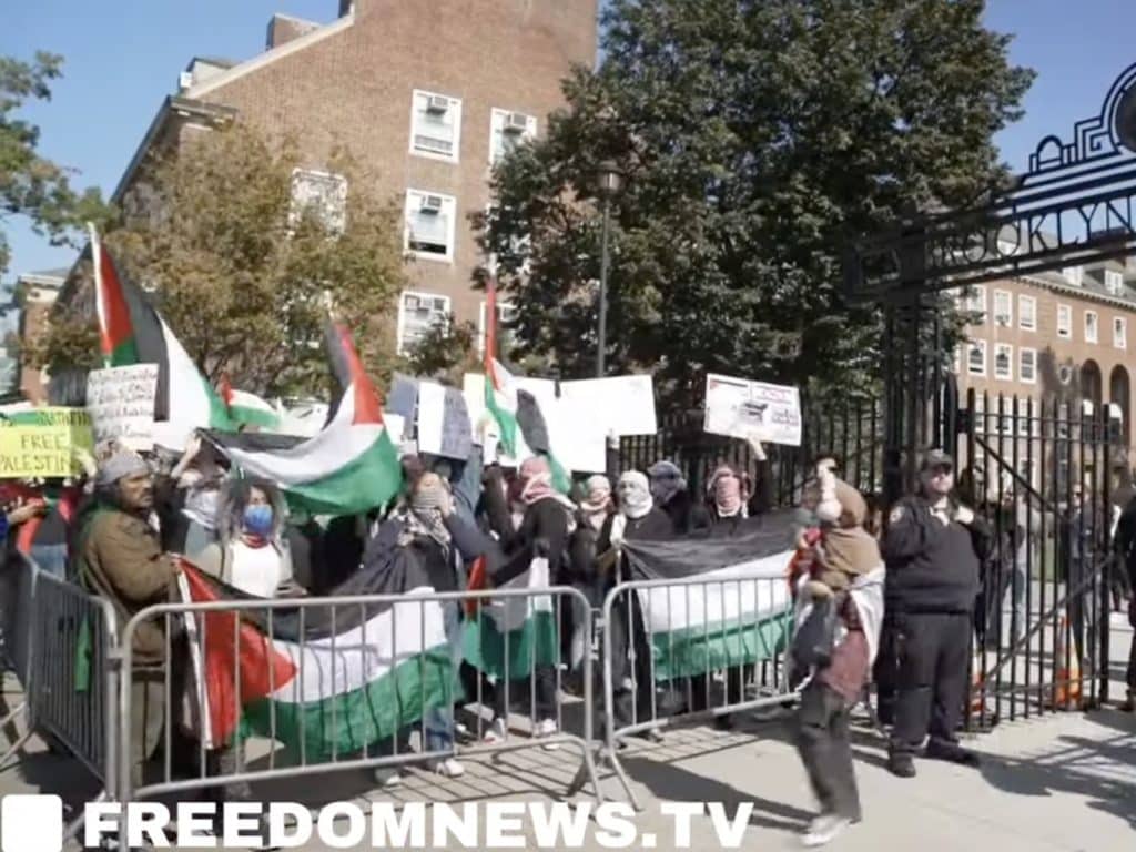 Council Member Vernikov  counter-protested a pro-Palestinian rally outside Brooklyn College on Thursday | Sam Hartson/FreedomNews.tv
