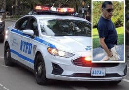 A woman was violently assaulted in broad daylight inside Central Park Thursday afternoon by a man with a baton, police say.