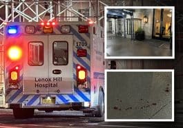 A man was stabbed multiple times and critically injured in front of a posh UES condo, police said | Upper East Site