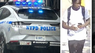 Police say a serial sexual assault suspect attacked a woman in front of an Upper East Side diner | Upper East Site, NYPD