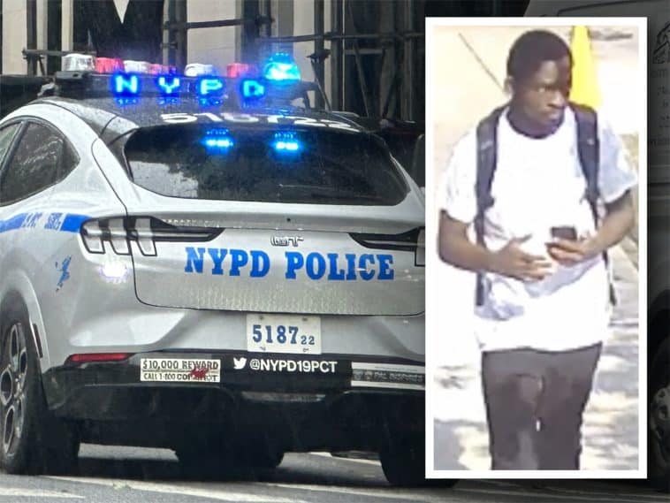 Police say a serial sexual assault suspect attacked a woman in front of an Upper East Side diner | Upper East Site, NYPD