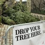 Photo shows a pile of discarded Christmas trees, without any decorations, with a barrier in front of them bearing a sign reading 'Drop Your Trees Here'