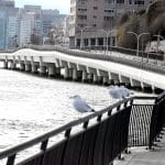 Photo shows an elevated walking and bike path snaking over water through the photo starting on the right and continuing to the left far in the background. Two birds are seen standing on a railing in the foreground.