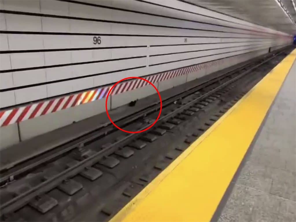 Photo shows a wide shot of a cat laying down on a subway trackbed opposite the platform near the third rail. The cat is circled in red.