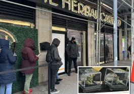 Composite shows an angled view of people waiting on line outside a cannabis dispensary, which has a security guard at the door. An inset photo shows flower cannabis in two sealed clear plastic containers.