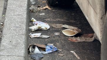 Photo shows trash accumulating between the curb and parked vehicle.