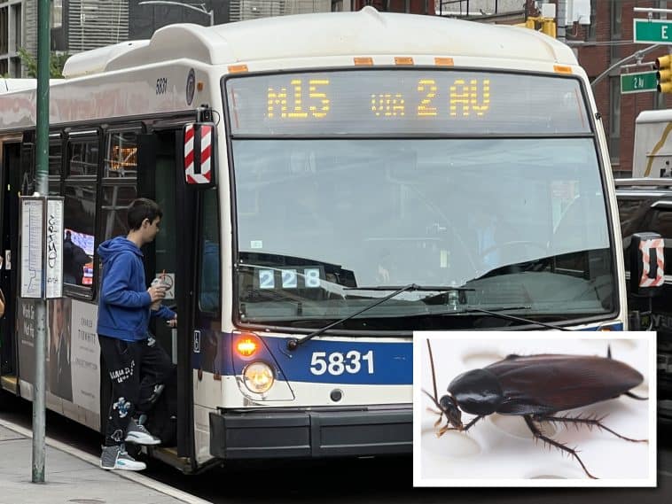 Composite shows an MTA bus with an inset photo of a cockroach.