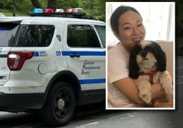 Composite shows an NYPD SUV with its emergency lights on in Central Park. Inset is a photo of an Asian woman holding a small black and white dog.