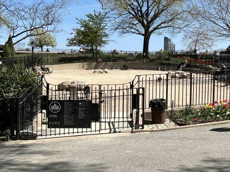 Photo shows a large dusty dog run in use before its renovation.